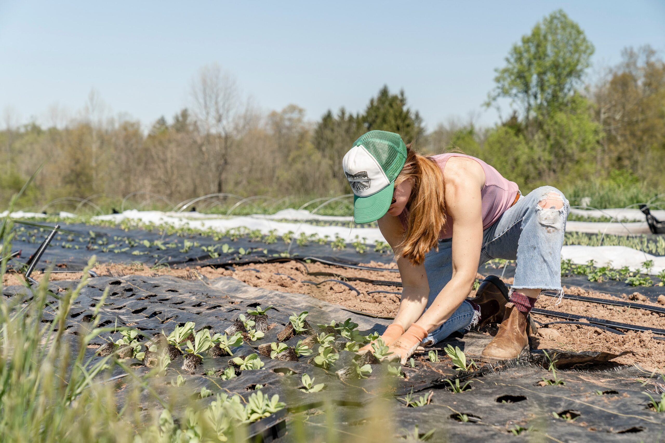 Farming jobs in Canada 2023 with visa sponsorship